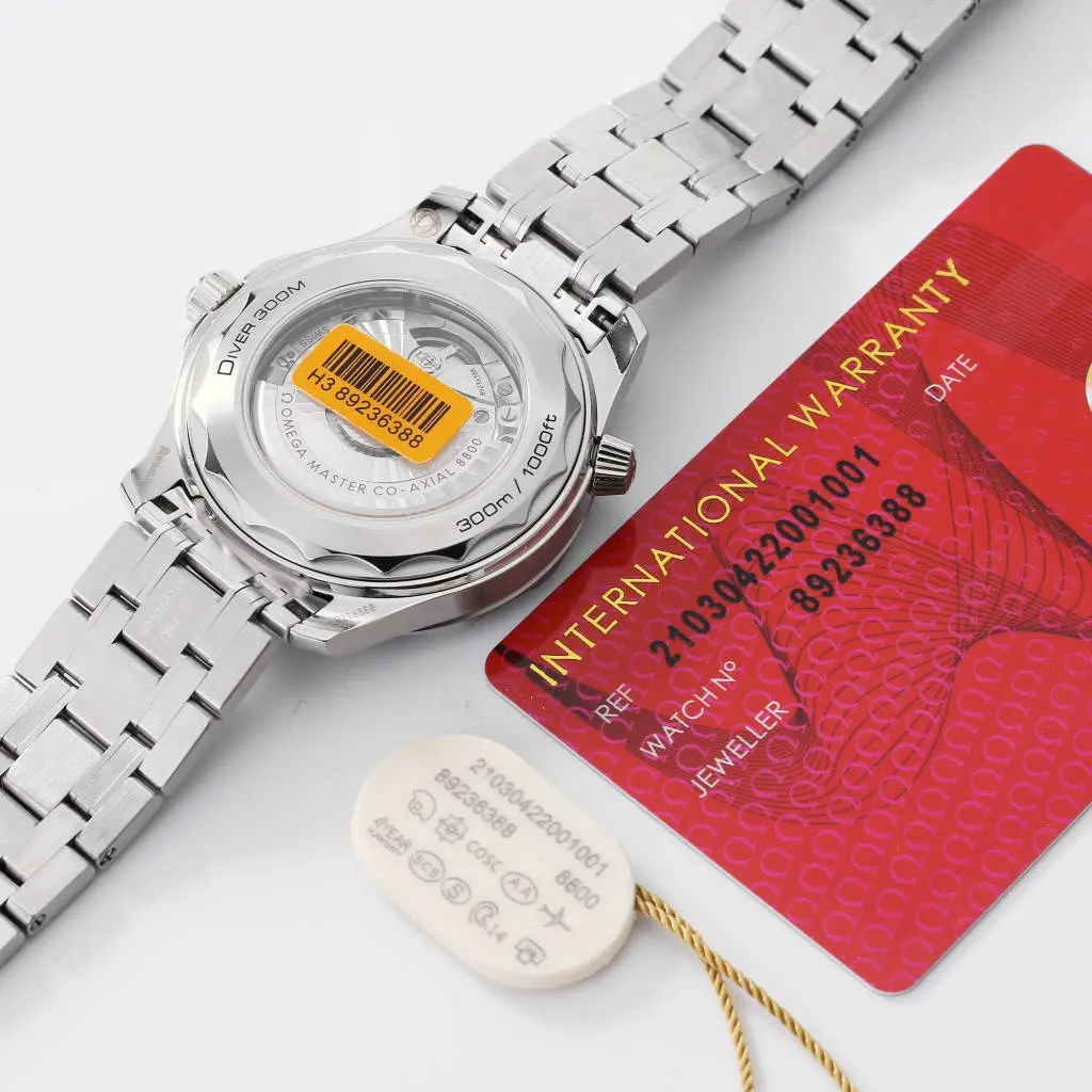 ZF Factory Omega Seamaster Grey dial — image 9