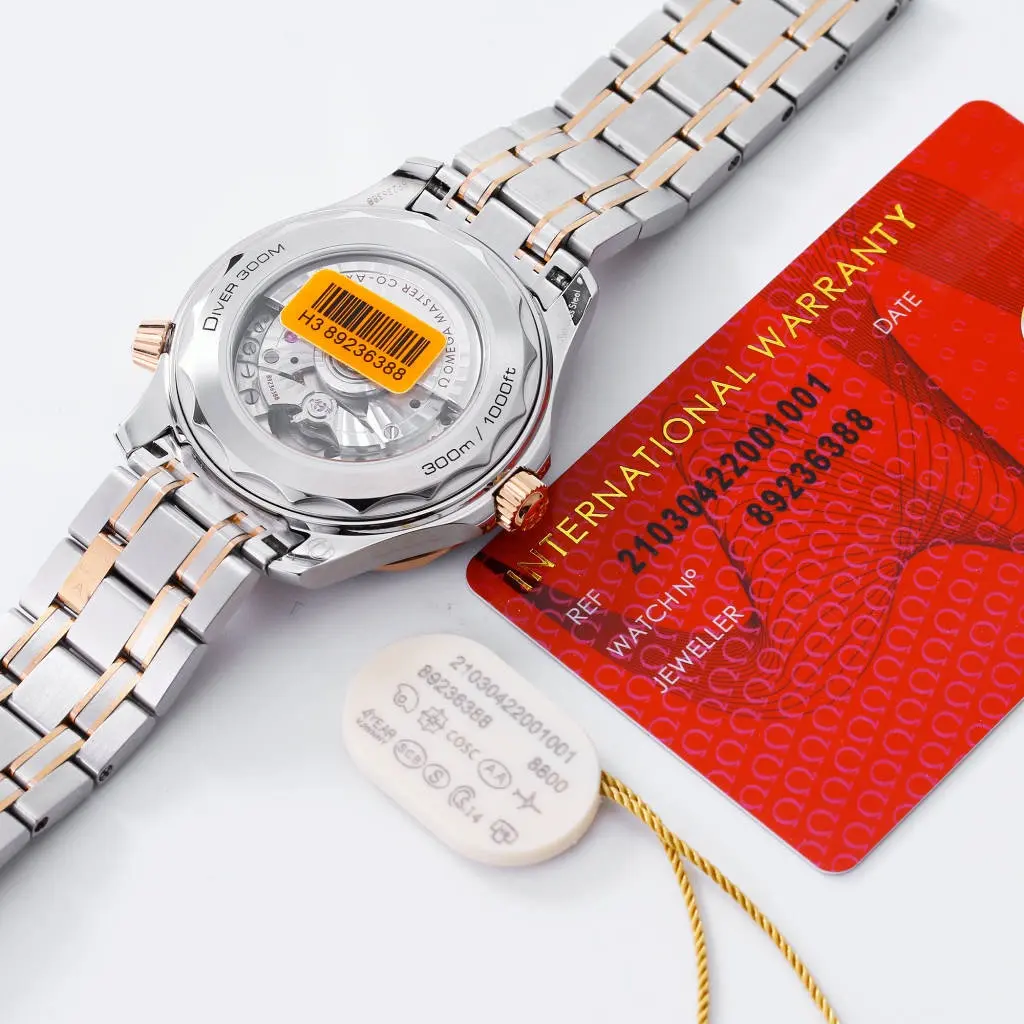 VS Factory Omega Seamaster Blue dial — image 9