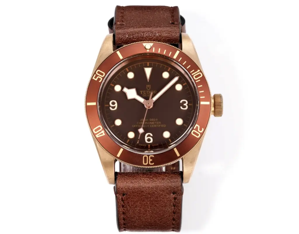 Tudor Black Bay Black dial
